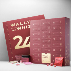 Wally and Whiz - Julekalender 2022